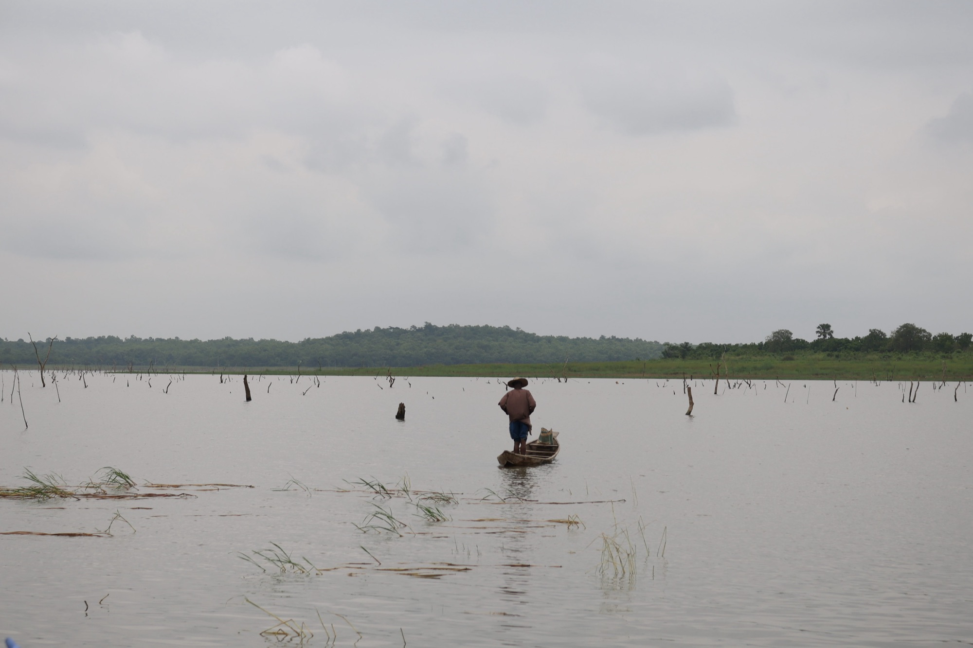 A researcher poles a canoe across still reservoir water