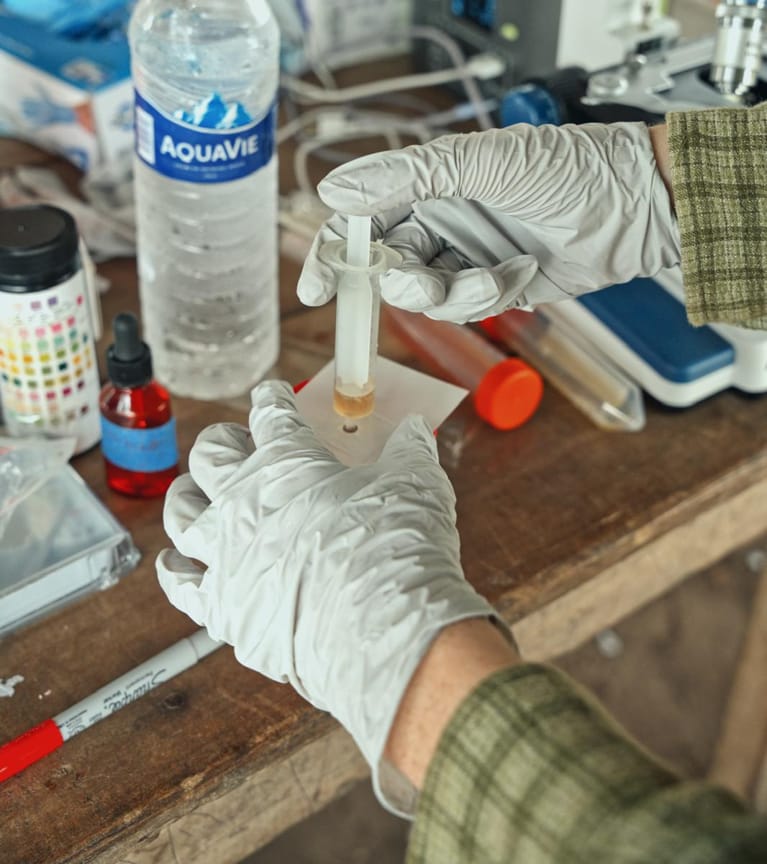 Gloved hands push a syringe of urine through a SchistoFilter card into a plastic cup on a field table