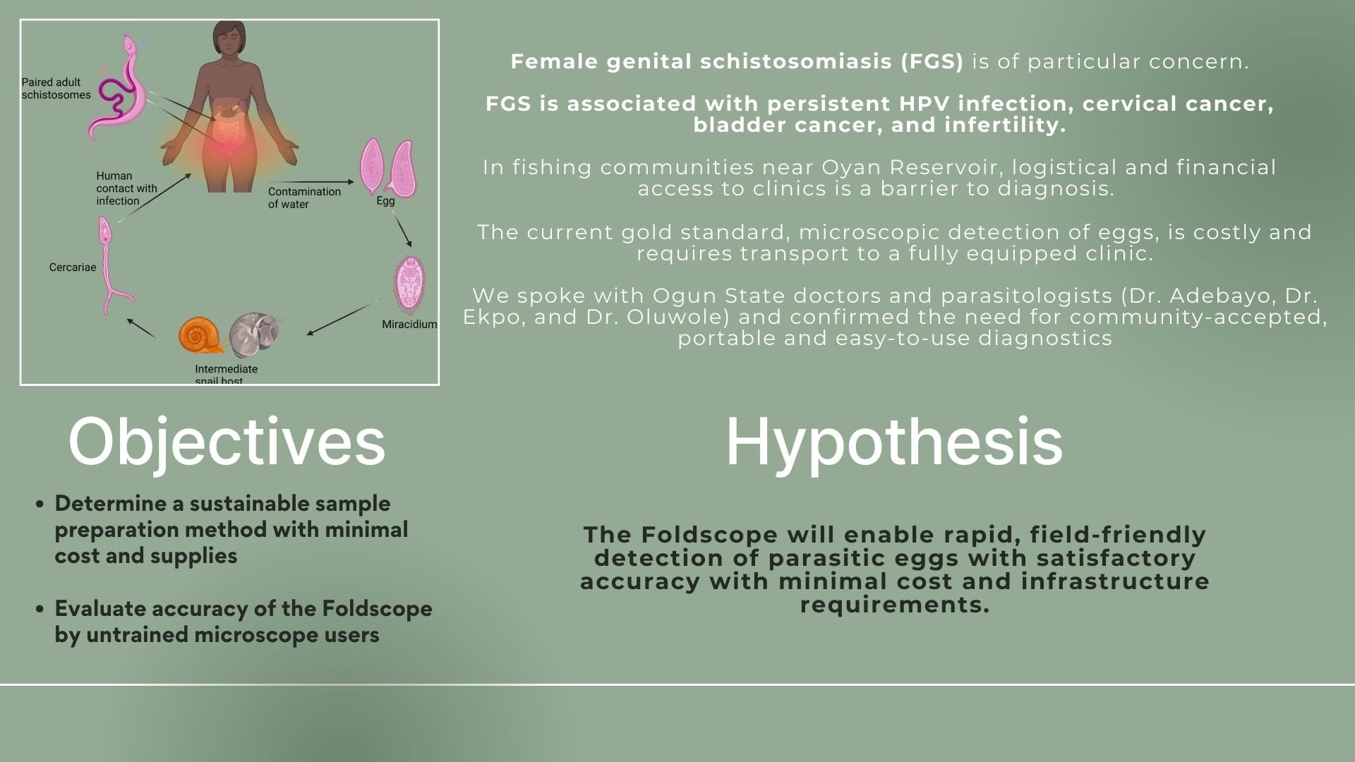 Slide listing the objectives and hypothesis beside a life-cycle diagram