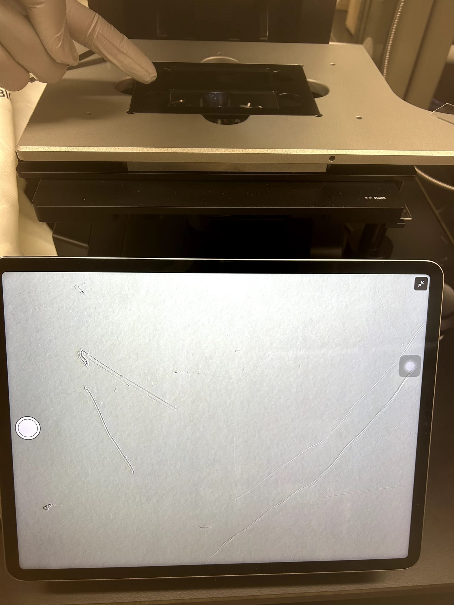 A tablet displaying a clean microscope field with no eggs