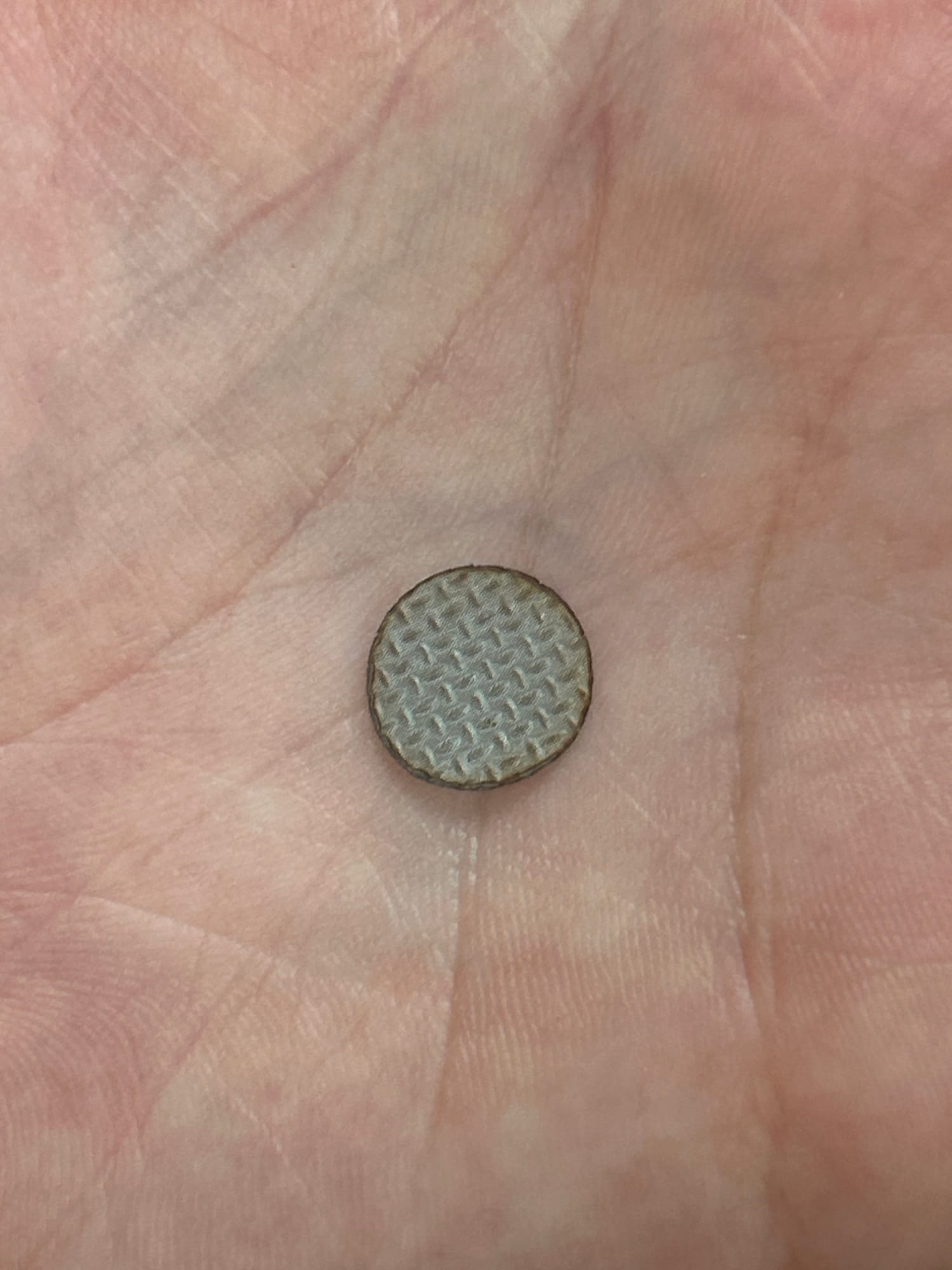 A tiny round stainless-steel mesh disc resting on a palm