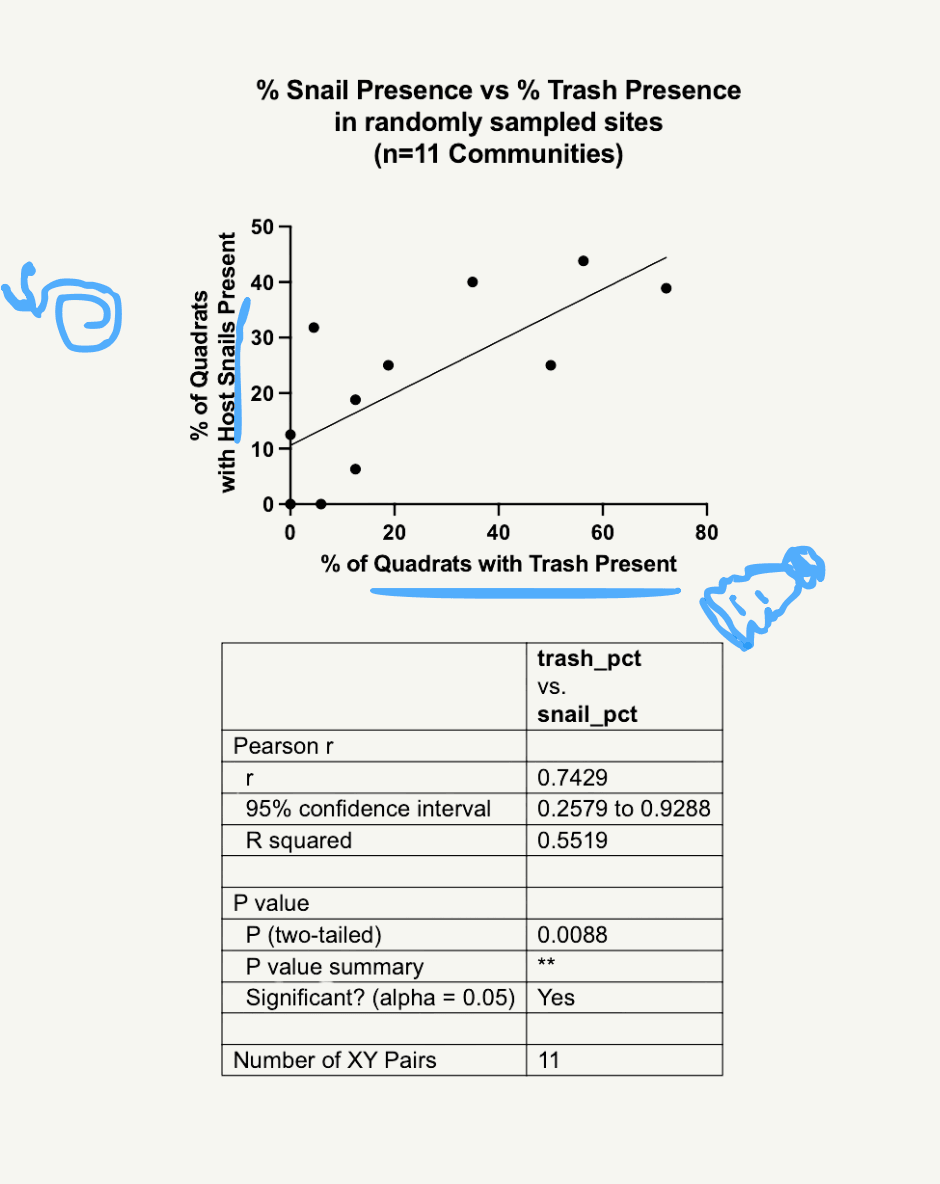 Scatter plot of the percent of quadrats with snails against the percent with trash across 11 communities, with a rising trend line