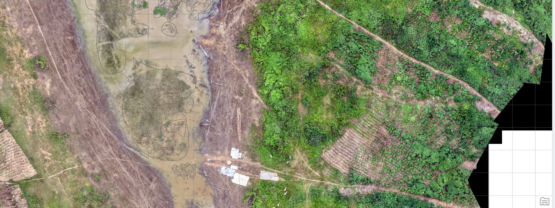 Drone imagery of a riverbank showing a dirt track, farmland, and dense green vegetation along the water